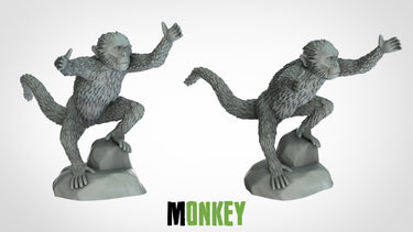 Monkeys